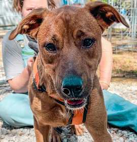 Photo of Gracie Grace