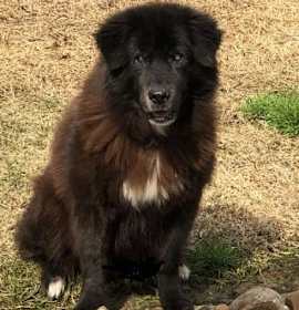 Kristoff (FL) photo 3