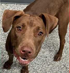 Photo of Flora - ROCKFORD