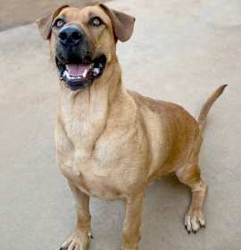 Photo of Bartholomew