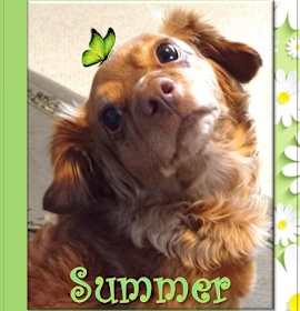 Photo of Summer  - San Diego