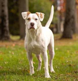 Photo of Micah - 24033