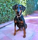 Photo of Zoe