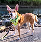 Photo of Jasper