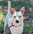 Photo of Snowby