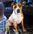 Photo of Karl