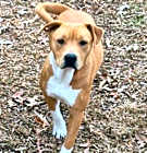 Photo of Jack