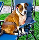 Photo of Mugsy