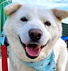 Photo of Otis