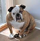 Photo of Big Andy