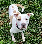Photo of Tia