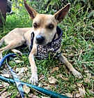 Photo of Sonny