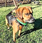 Photo of Norbert