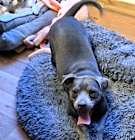Photo of Rolo