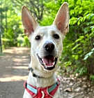 Photo of Cady