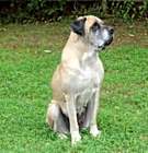 Photo of Izzabella