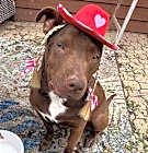 Photo of Sprout