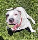 Photo of Debo