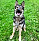 Photo of Loki
