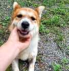 Photo of Salsa