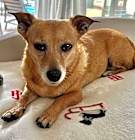 Photo of Maggie  -  So Ca
