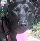 Photo of Handsome Buster