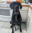 Photo of Rudy *Courtesy Post*