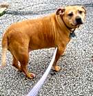 Photo of Holly