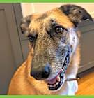 Photo of Kona