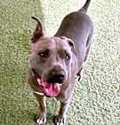 Photo of HANK