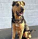 Photo of GAMMA