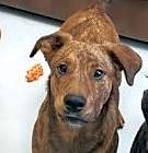 Photo of Waylon *P