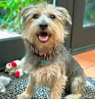 Photo of Romy
