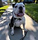 Photo of Hershey