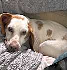Photo of Ruthie