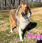 Photo of Maggie
