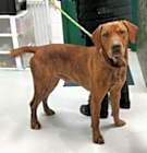 Photo of Woodrow