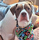 Photo of Benny