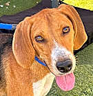 Photo of Zaida