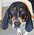 Photo of Molly