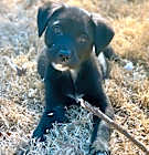 Photo of FIONA