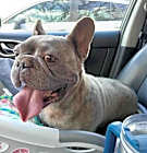 Photo of Maya