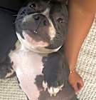 Photo of Lily