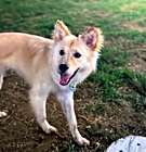 Photo of Foby