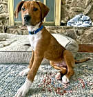 Photo of REGGIE