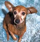 Photo of Sammy