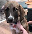 Photo of HONEY