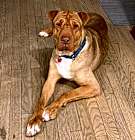 Photo of Molly
