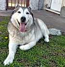 Photo of Yuki