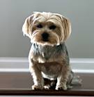 Photo of Rico